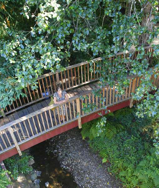 Exterior view - Mill Valley Inn