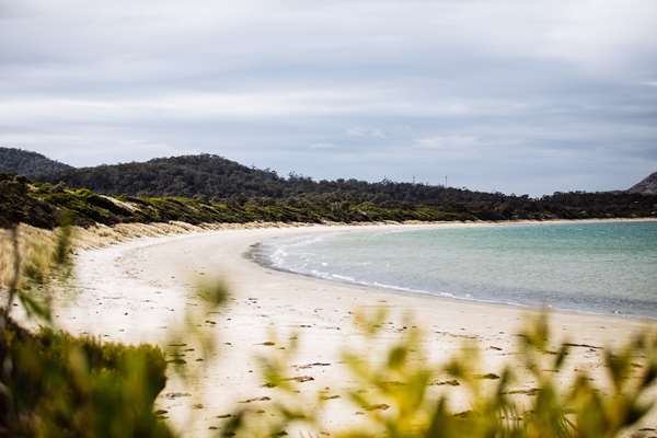 On-Site,Beach