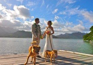 Exterior view - Paradise Bay Resort Kaneohe