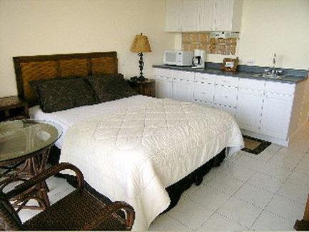  - Castle Waikiki Grand Hotel Honolulu