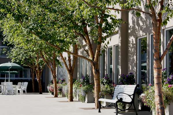 Exterior view - Bear Lodge Fairbanks