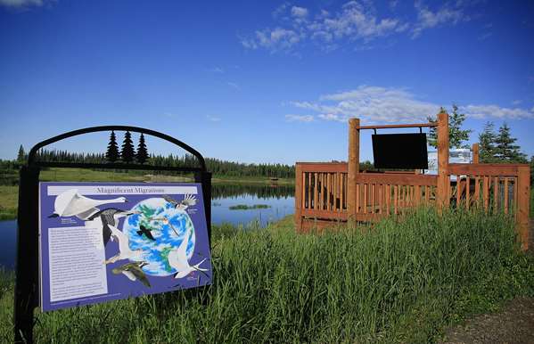 Recreation - Bear Lodge Fairbanks