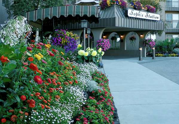 Exterior view - Sophie Station Hotel Fairbanks