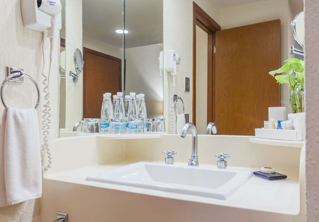 GUADALAJARA PLAZA EXPO-guestroom-Guest Room,Bathroom,On-Site.jpg