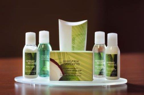  - Lakeview Inn & Suites Airport West Edson