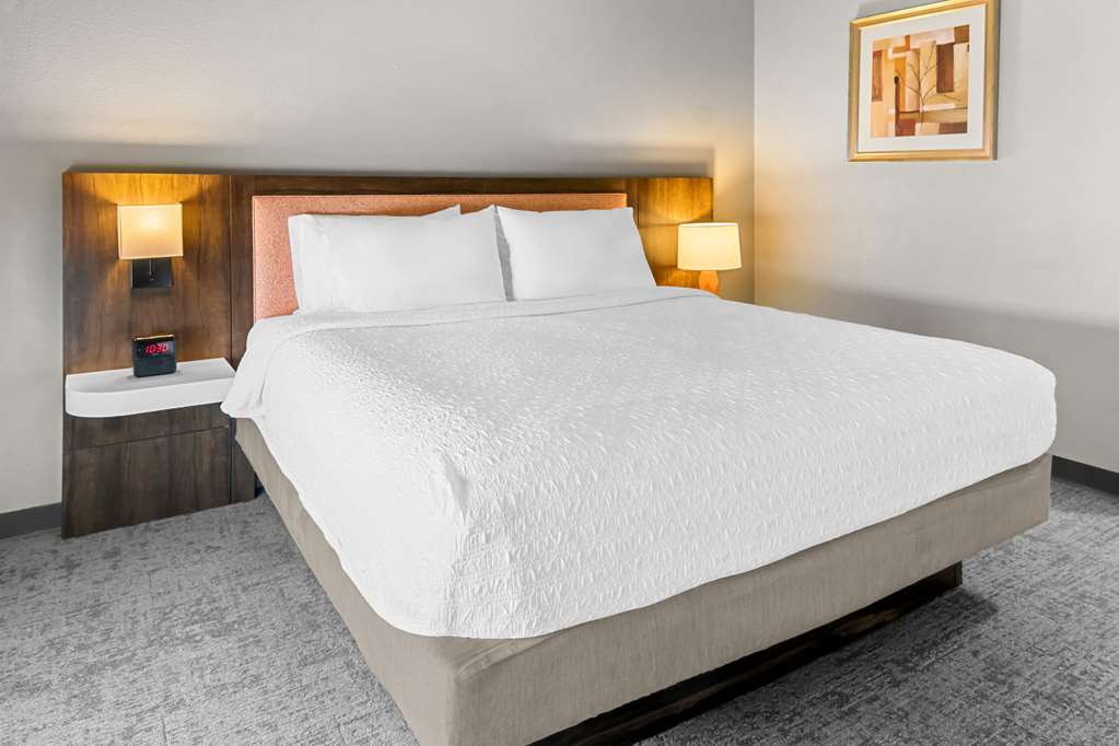 Hampton Inn &amp; Suites Abilene I-20-guestroom-Guest Room,On-Site.jpg