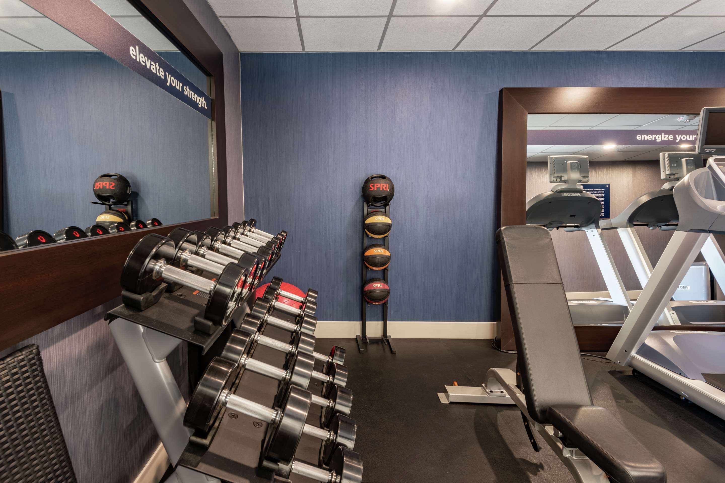 Health club fitness center gym