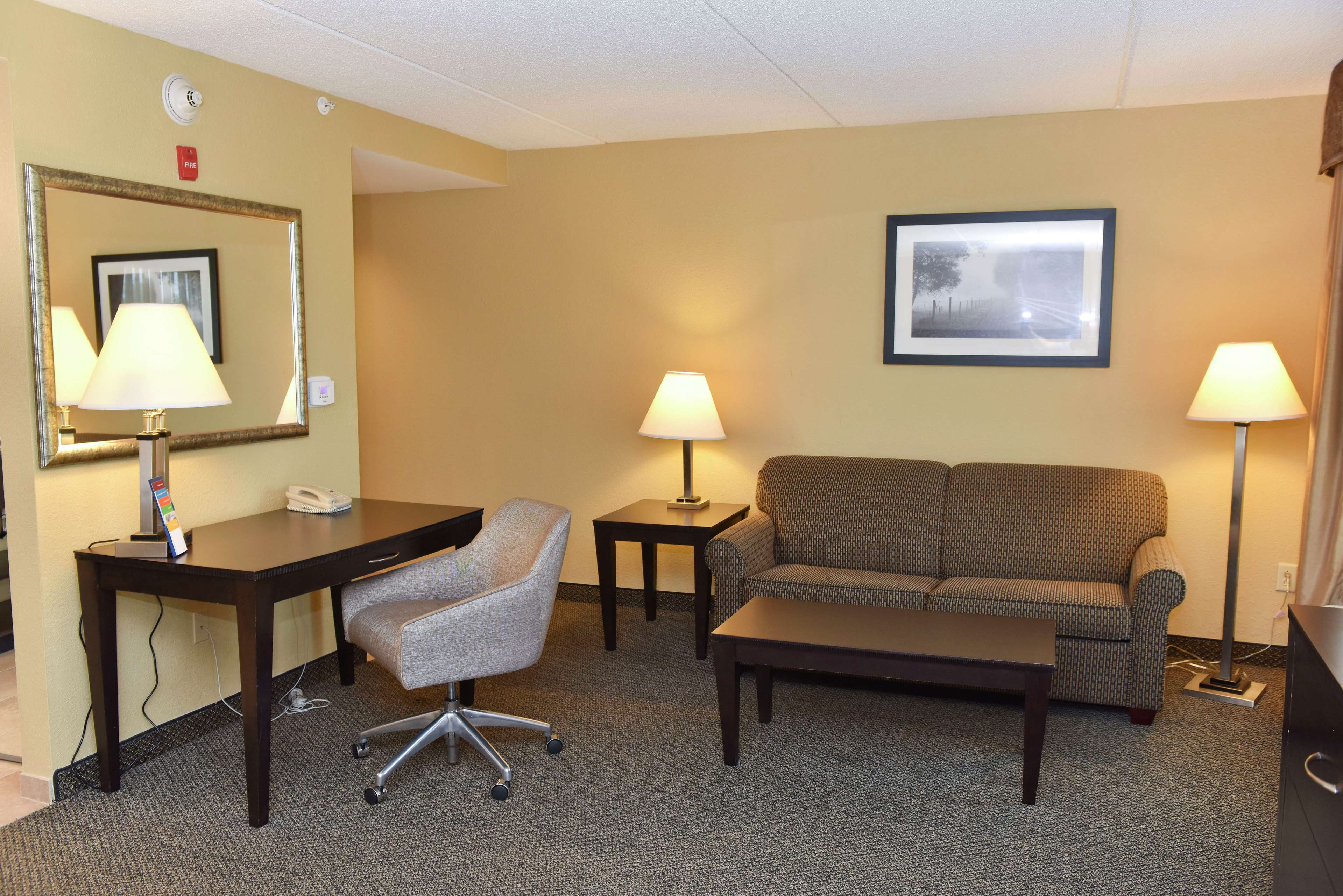 Hampton Inn & Suites by Hilton Alexandria Room Type - 1KNG STUDIO SOFABED NOSMOK
