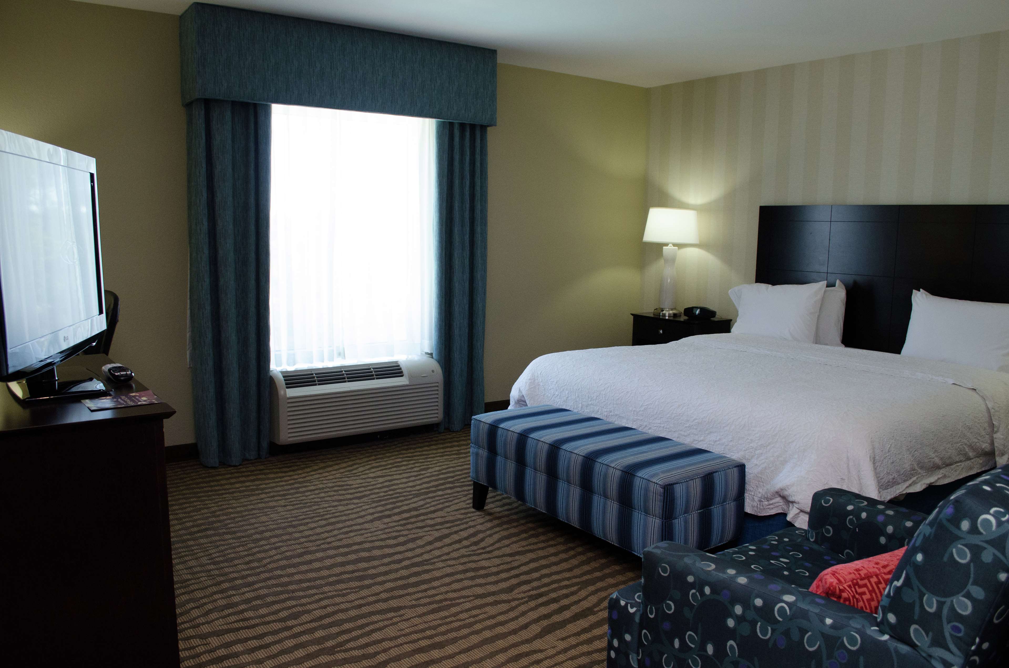 Hampton Inn by Hilton Thomson Room Type - 1KNG MOB HEAR ACC W TUB NS