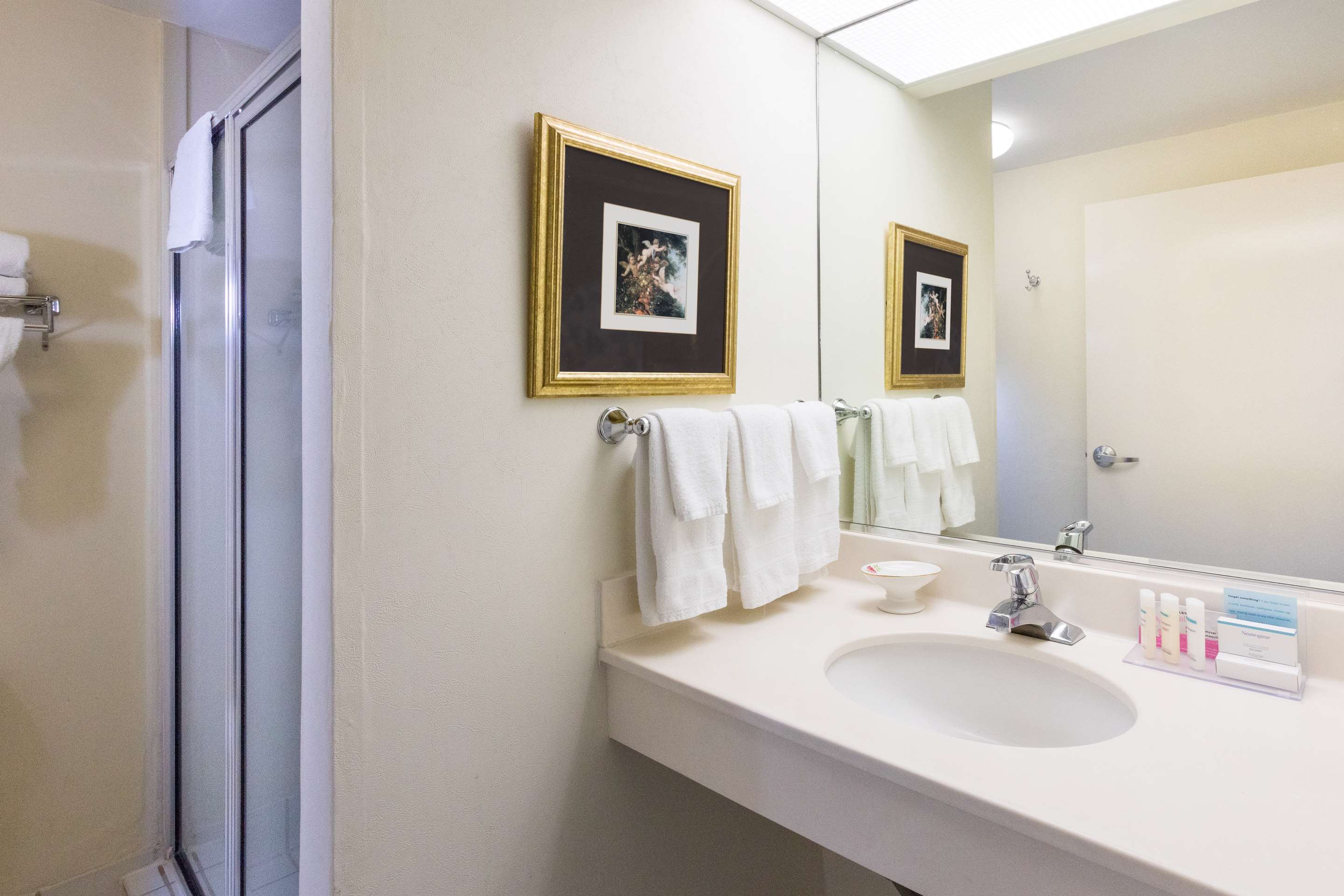 Guest room bath