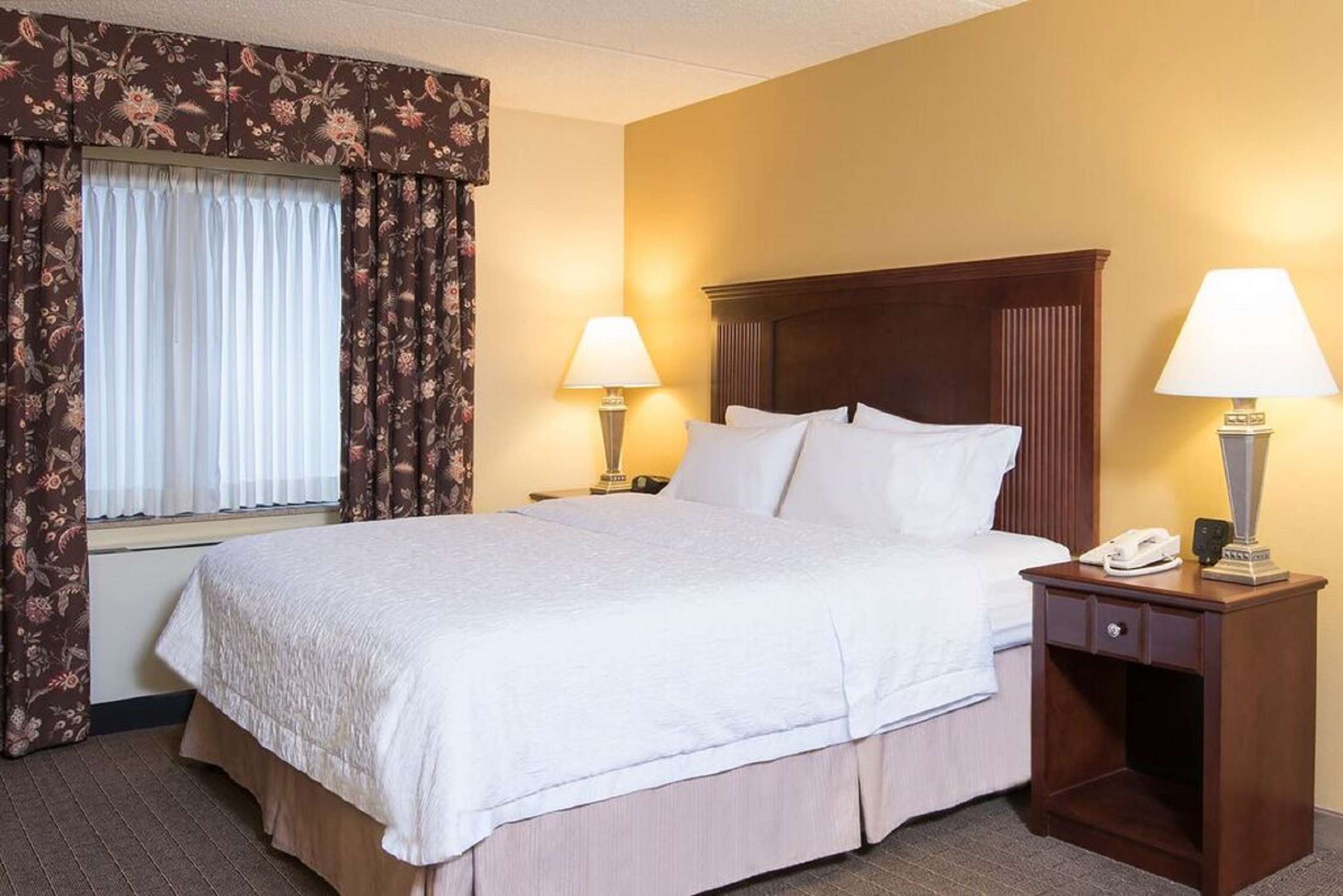 Hampton Inn Schenectady Room Type - 1 KING BED SPECIAL NONSMOK