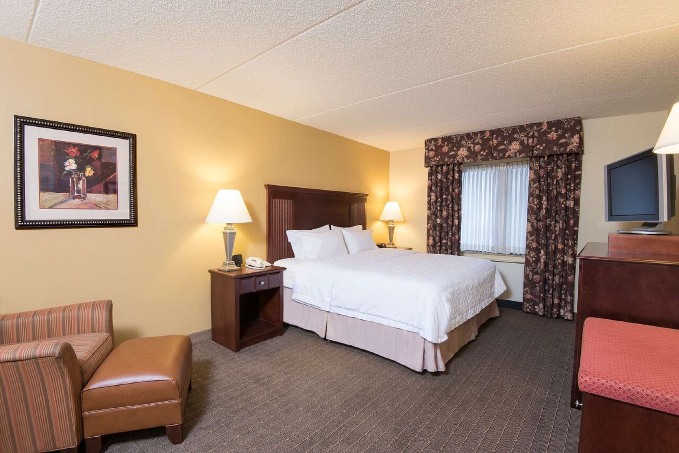 Hampton Inn Schenectady Room Type - 1KG BED SHOWER ONLY NOSMOK