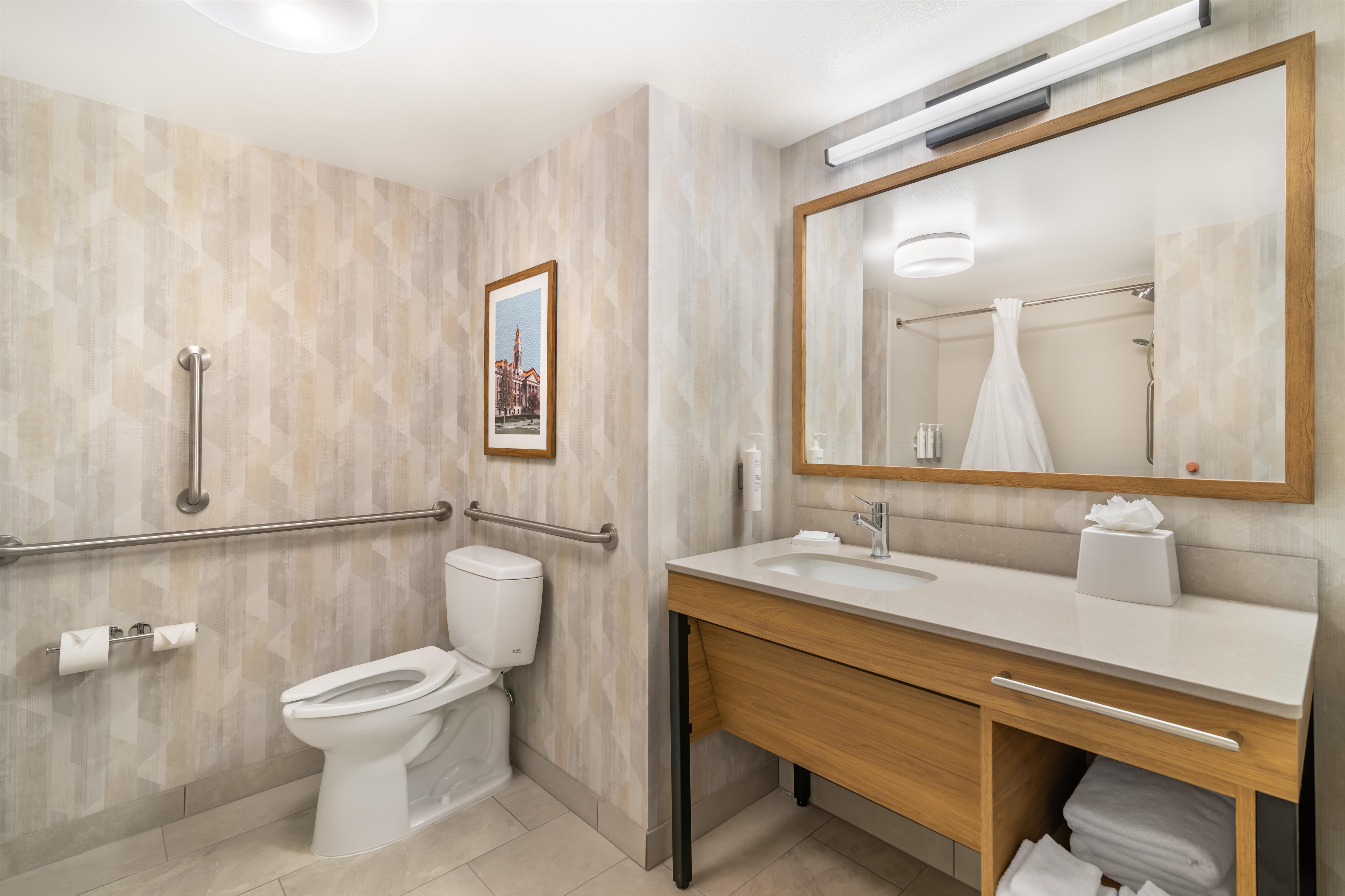 Hampton Inn Schenectady Room Type - 1 KNG ACC ROLLIN SHWR NS