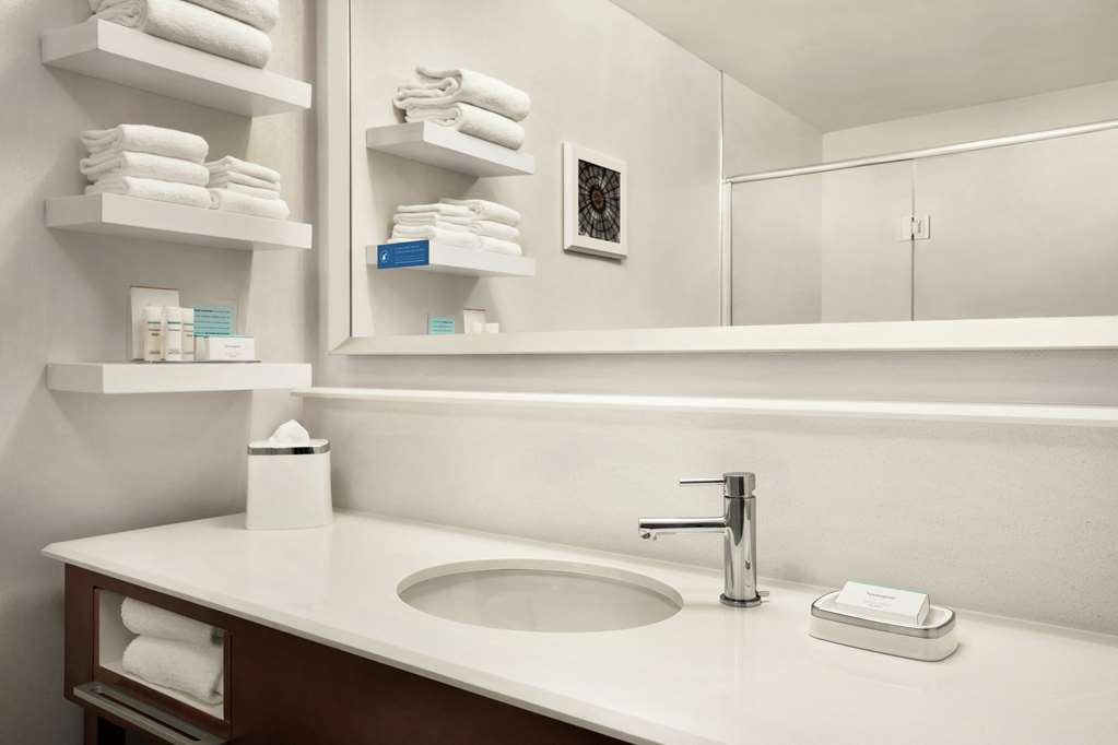 Hampton Inn Richmond-North/Ashland-guestroom-Guest Room,Bathroom,On-Site.jpg