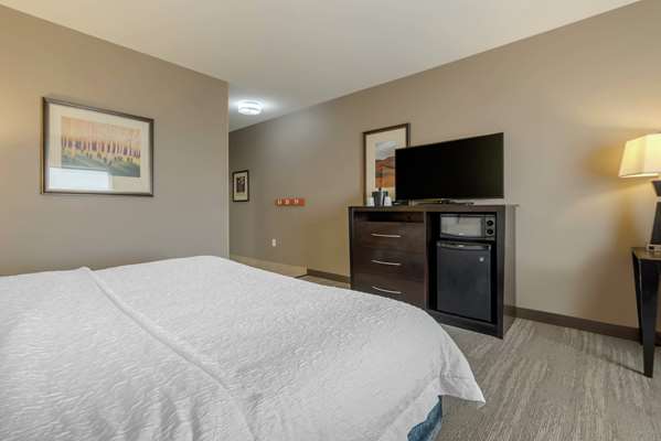  - Hampton Inn Alamosa