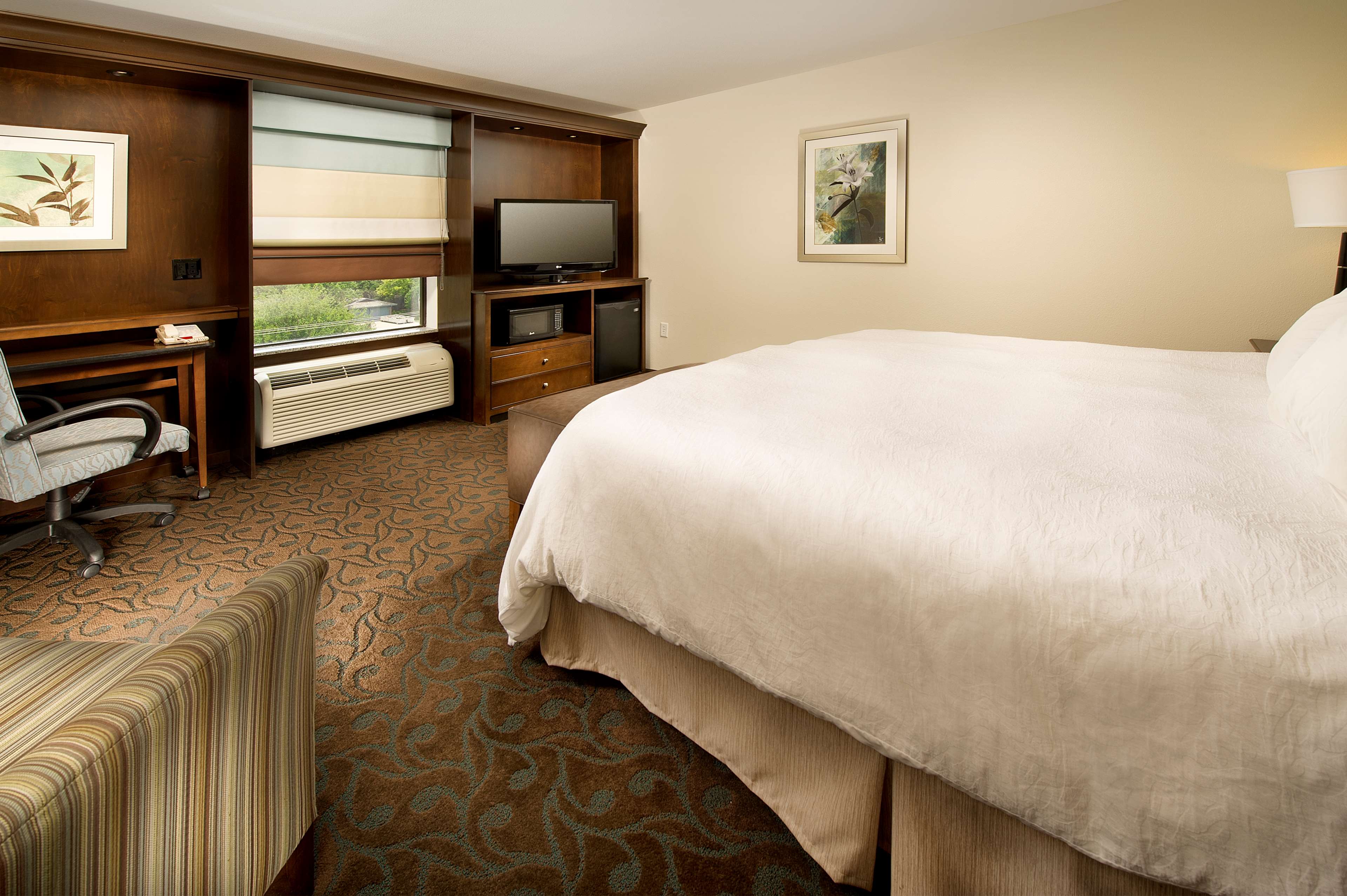 Hampton Inn Pampa TX Room Type - 1KNG MOB HEAR ACC W TUB NS