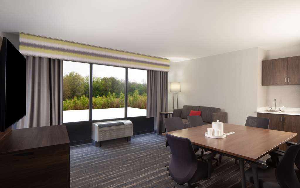 Hampton Inn Athens Room Type - 1KNG 1BDRM EXEC STE NOSMOK