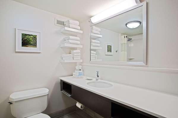  - Hampton Inn & Suites Gwinnett Duluth - I-85, Exit 104