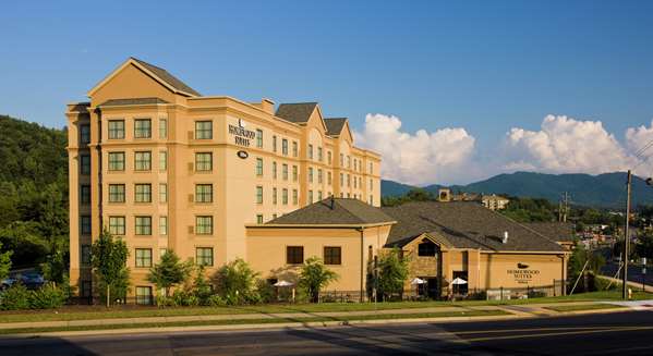 Exterior view - Homewood Suites by Hilton Asheville - I-240, Exit 6
