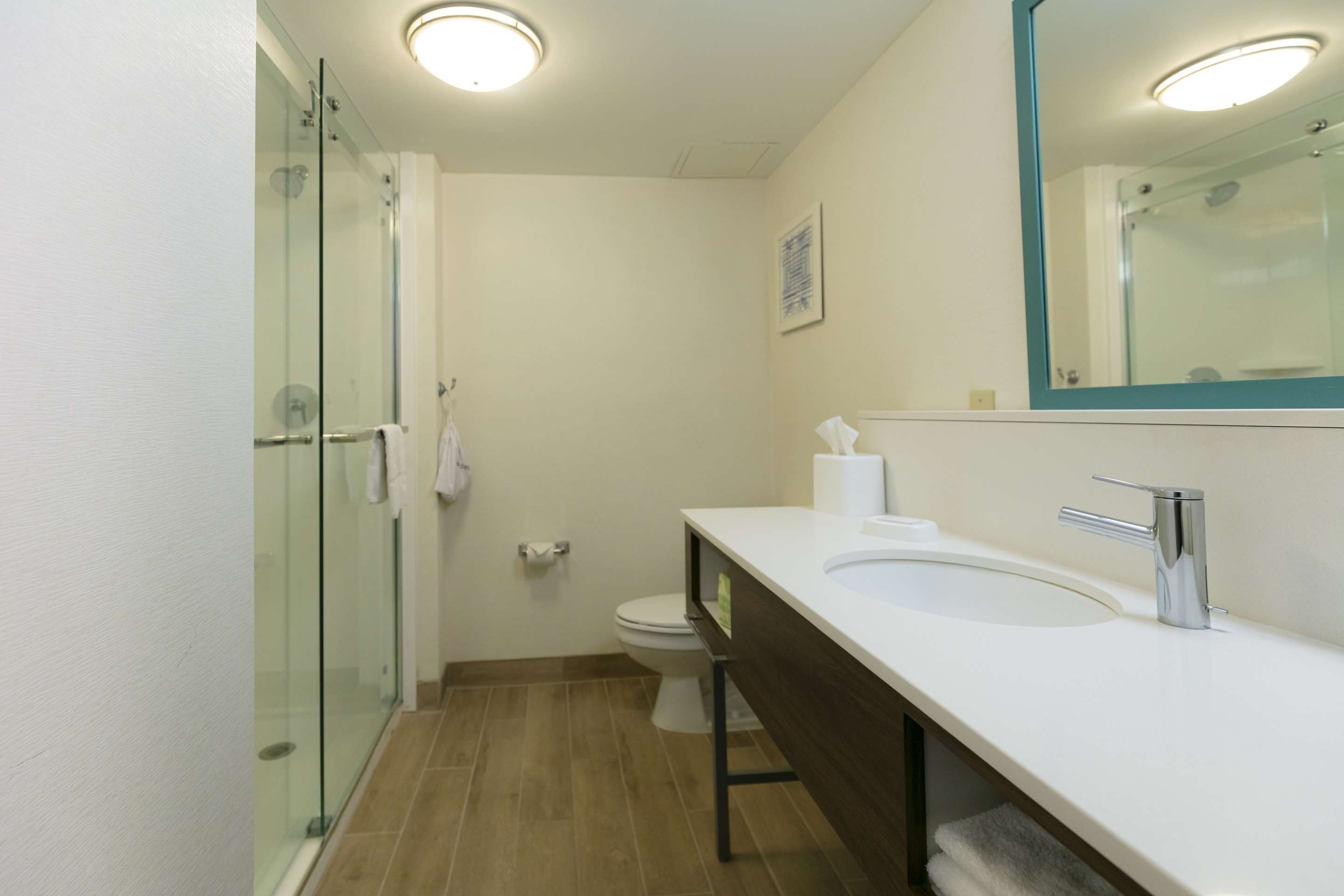 Guest room bath