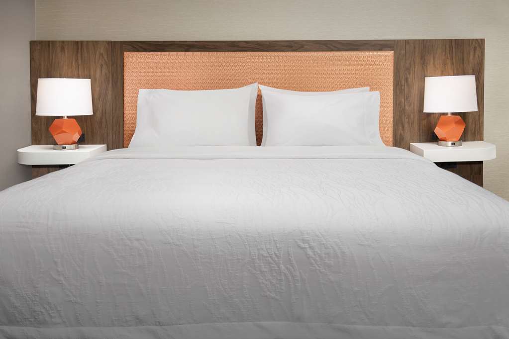 Hampton Inn by Hilton Baltimore-Downtown-Convention Center Room Type - 1K MOB/HEA ACC RI-S NS SFB