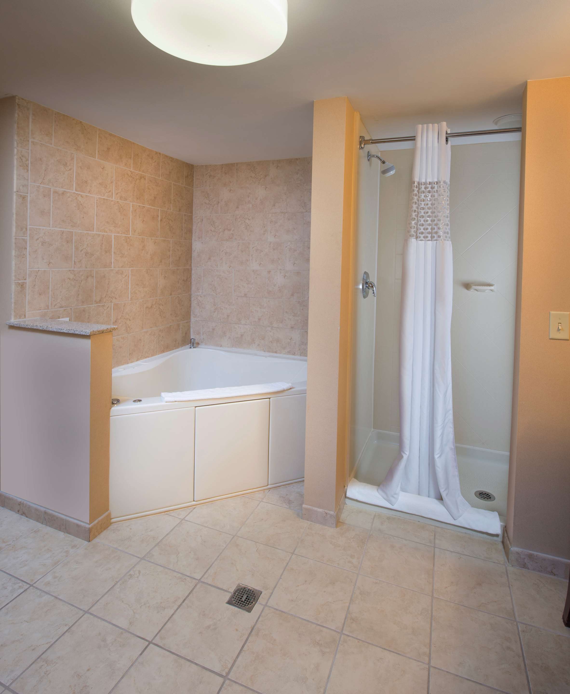 Guest room bath
