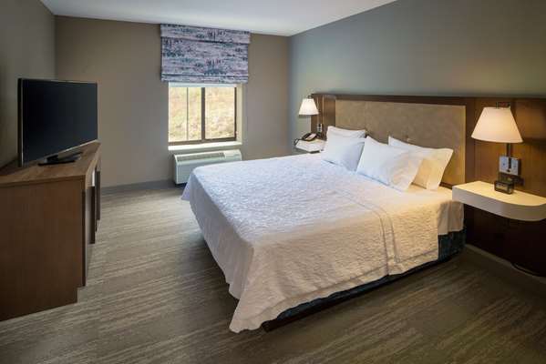  - Hampton Inn & Suites Vestal