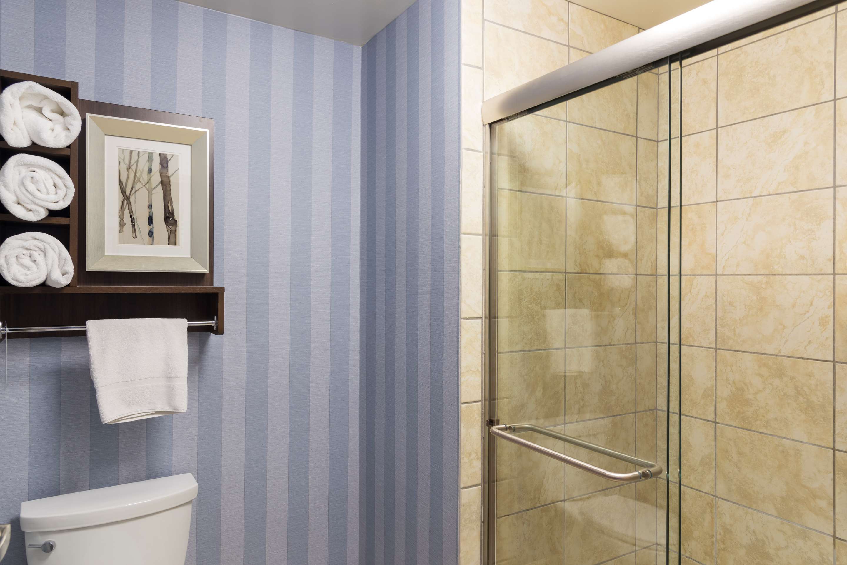 Guest room bath