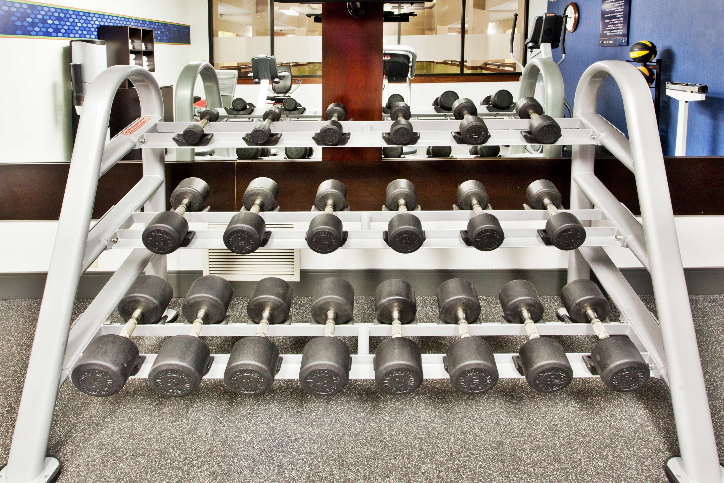 Health club fitness center gym