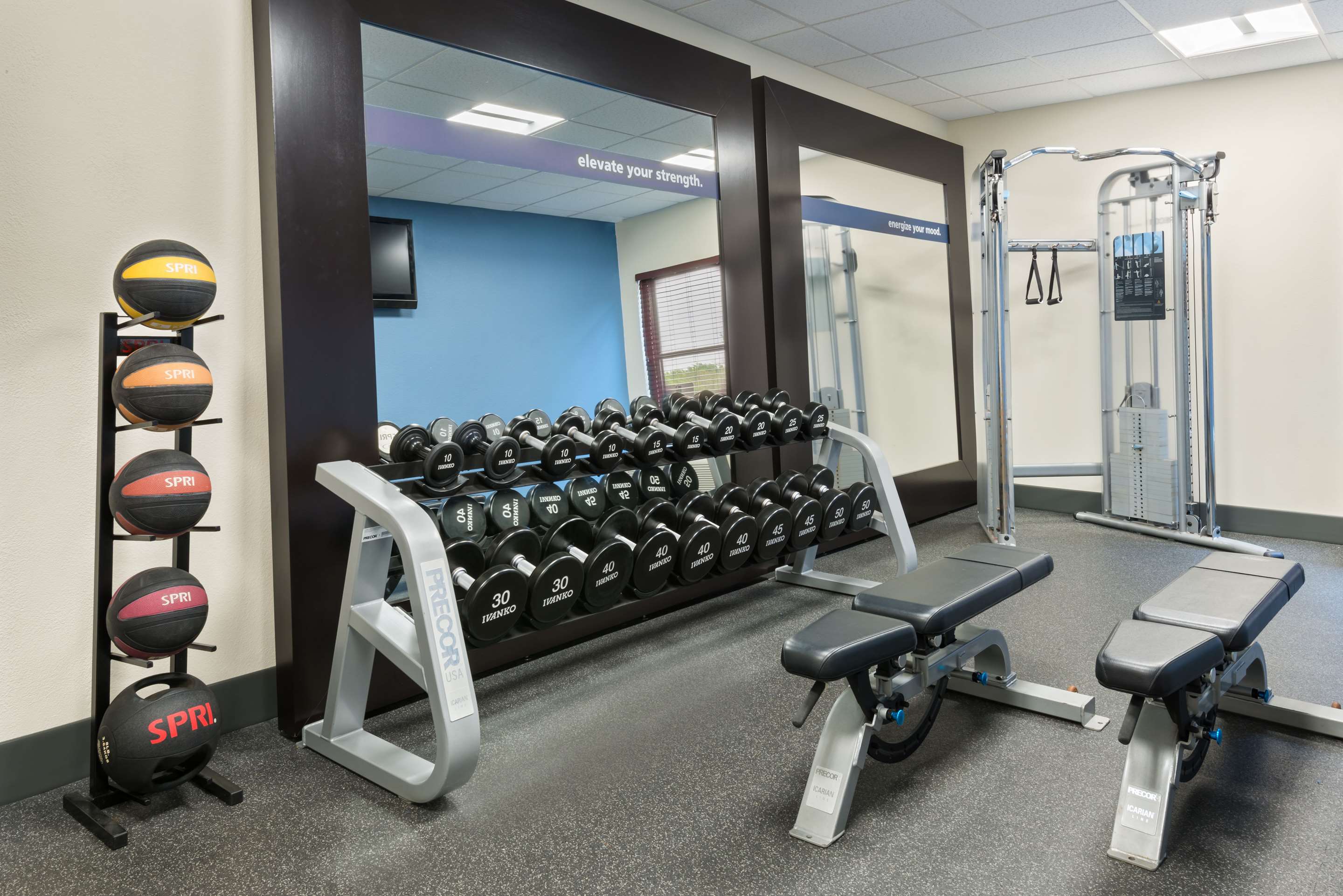 Health club fitness center gym