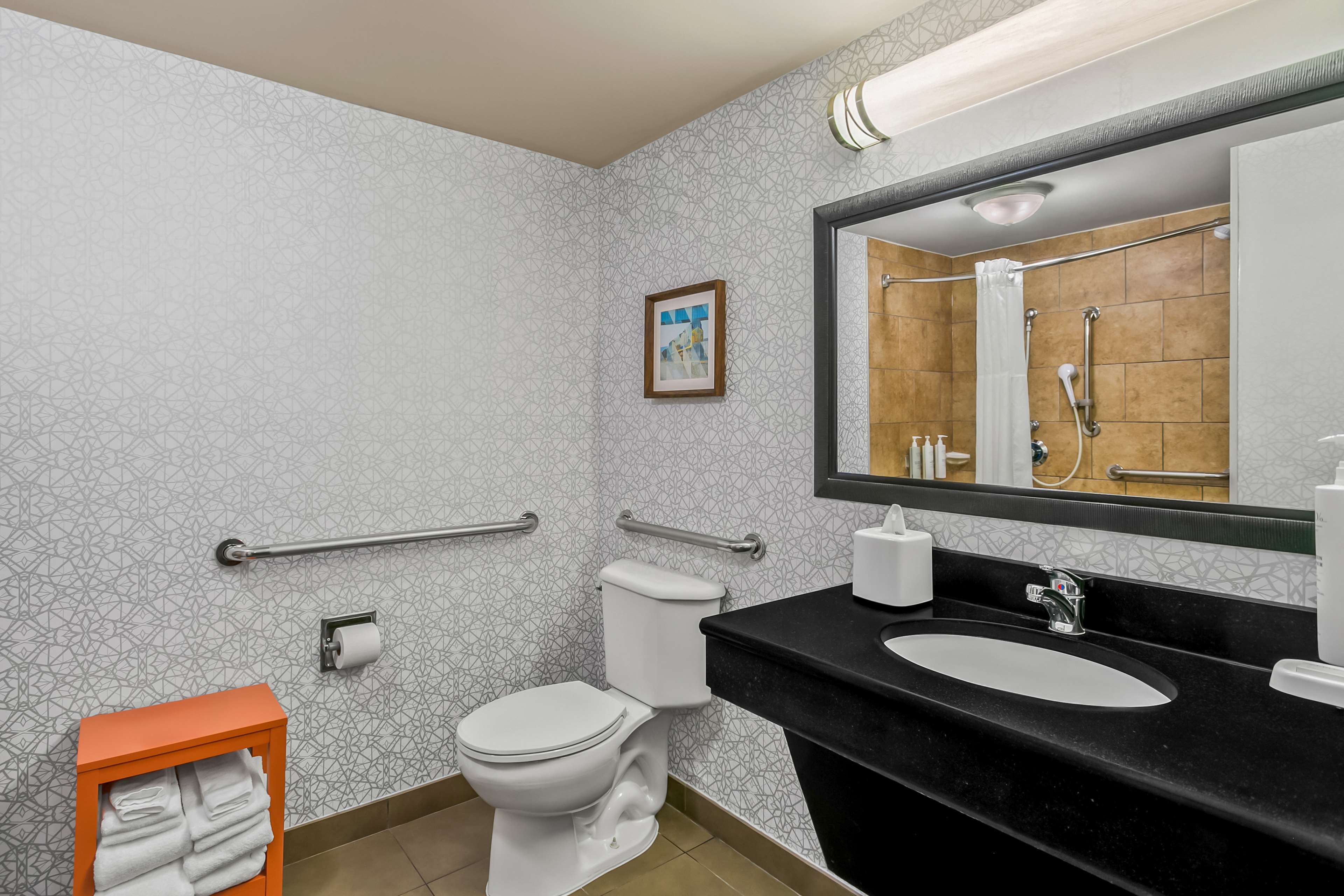 Hampton Inn by Hilton Bowie Room Type - 1 KING SFBD MIC FRG NS