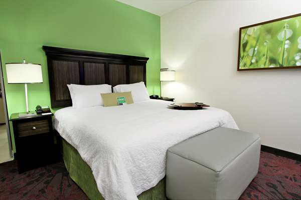  - Hampton Inn & Suites Winnie - I-10, Exit 829
