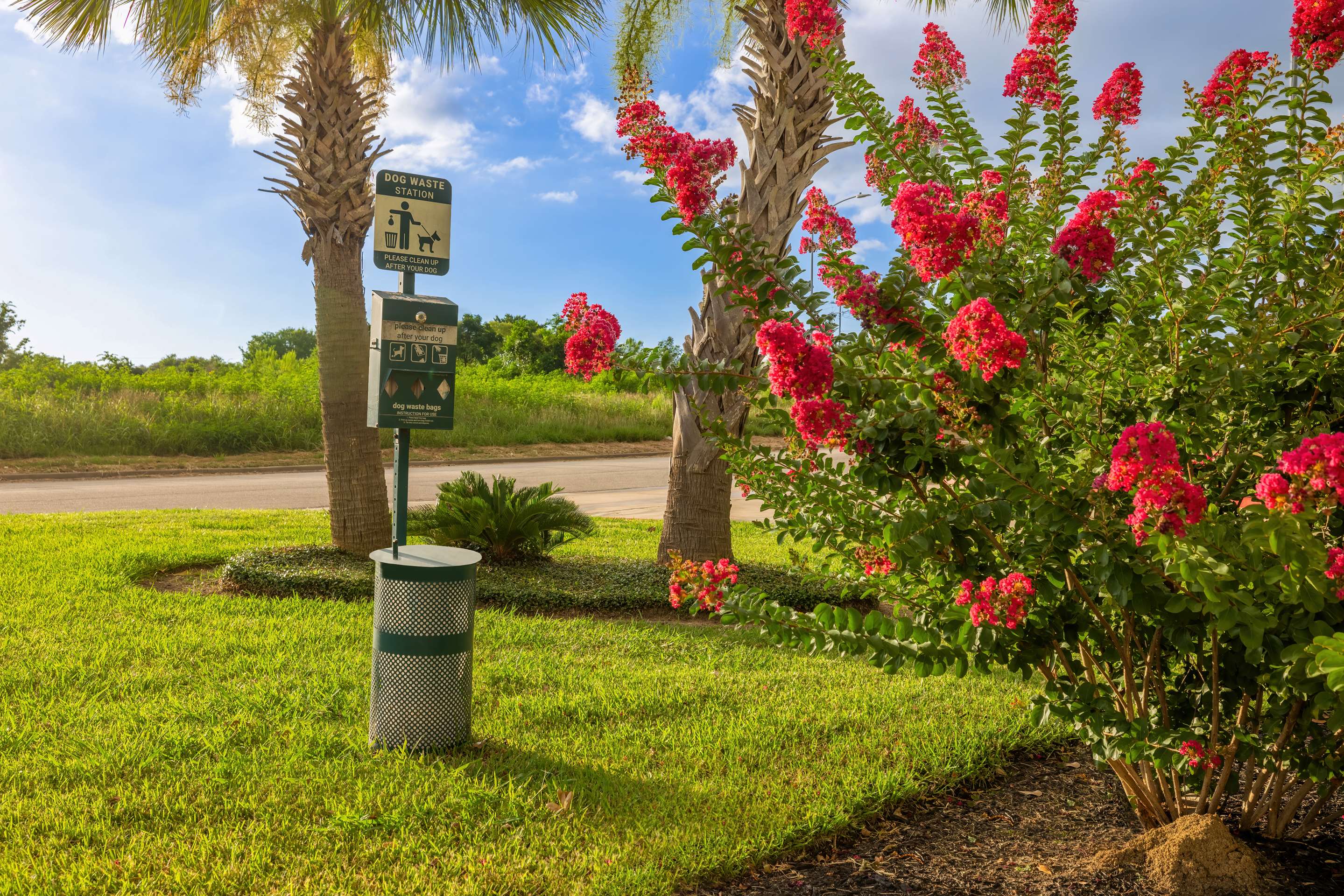 Exterior | Hampton Inn & Suites Brenham