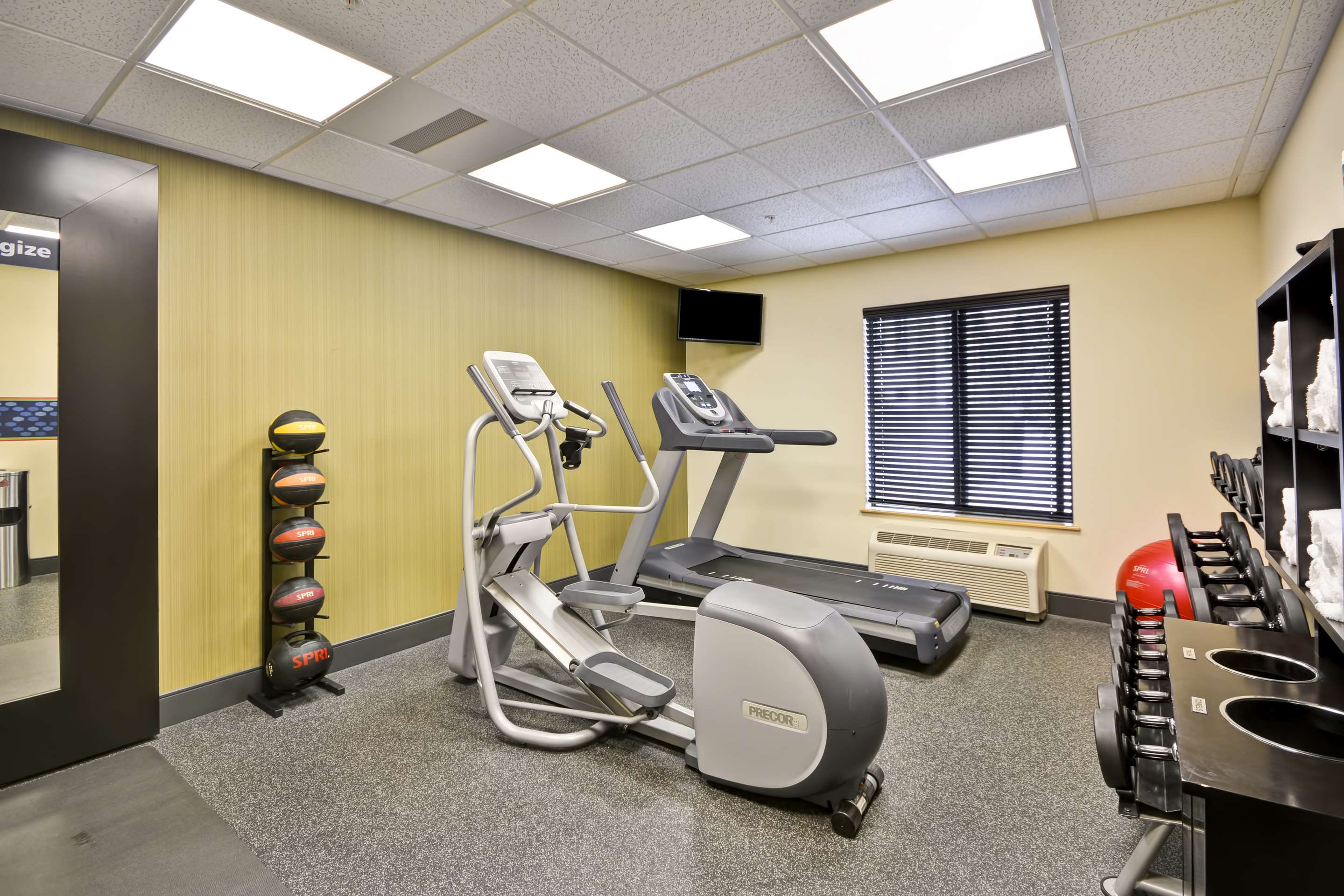 Health club fitness center gym