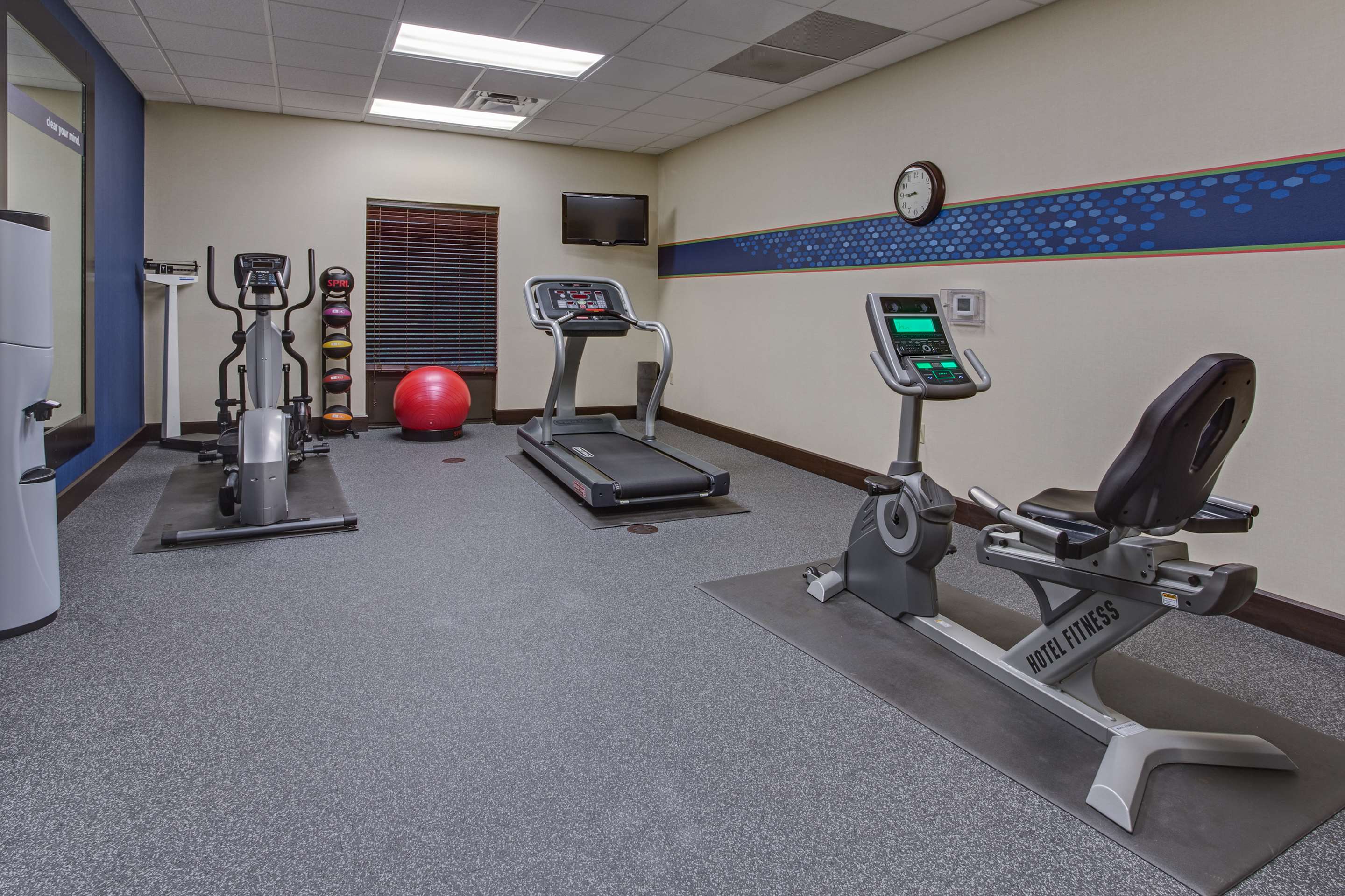 Health club fitness center gym