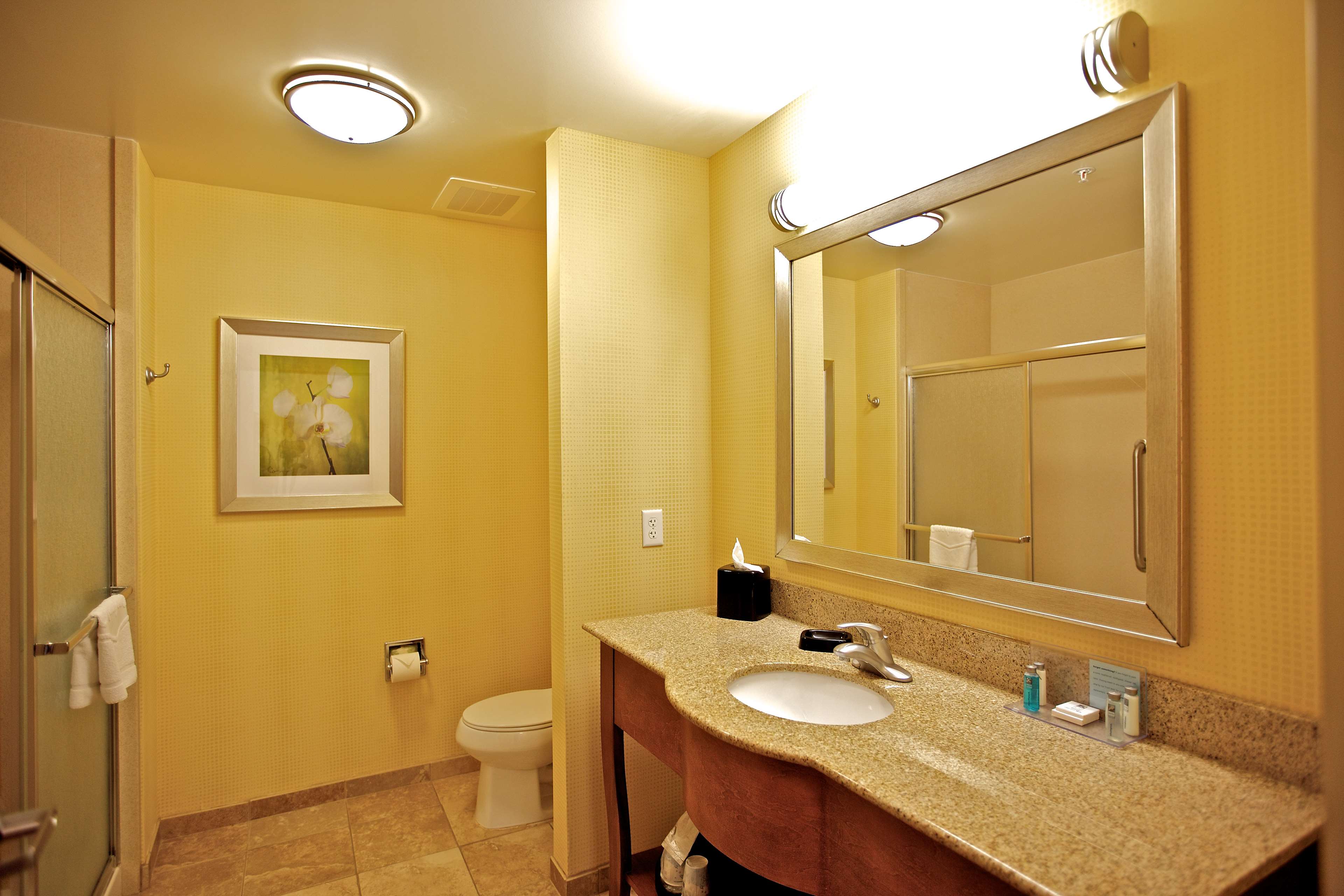 Hampton Inn Ringgold - Ft Oglethorpe Room Type - 1KNG STUDIO SOFABED NOSMOK