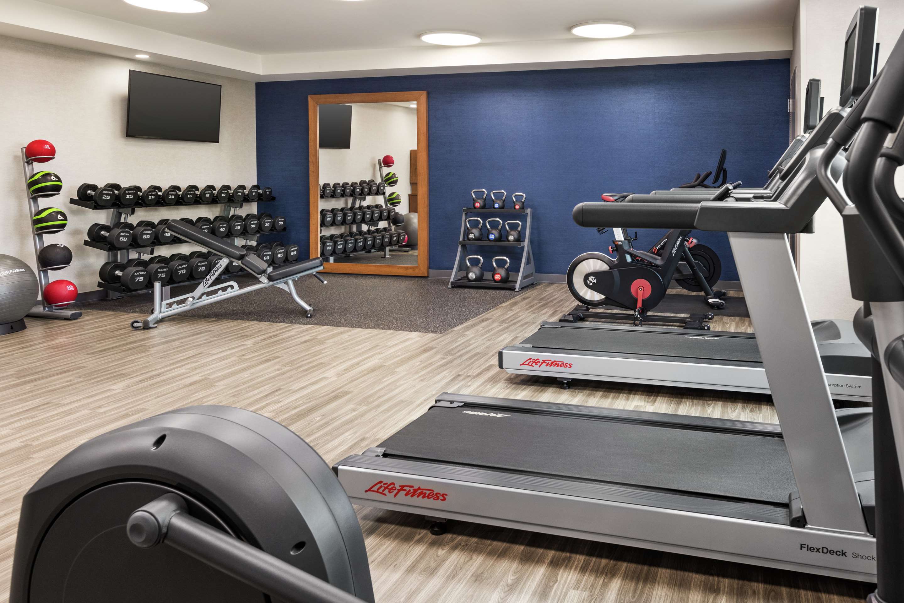 Health club fitness center gym