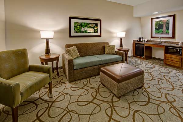  - Hilton Garden Inn Mt Pleasant