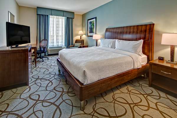  - Hilton Garden Inn Mt Pleasant