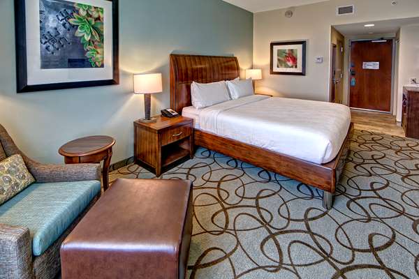  - Hilton Garden Inn Mt Pleasant