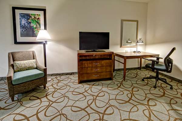  - Hilton Garden Inn Mt Pleasant