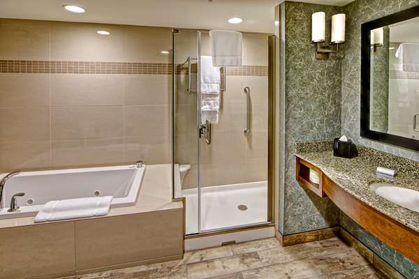  - Hilton Garden Inn Mt Pleasant