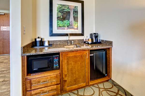  - Hilton Garden Inn Mt Pleasant
