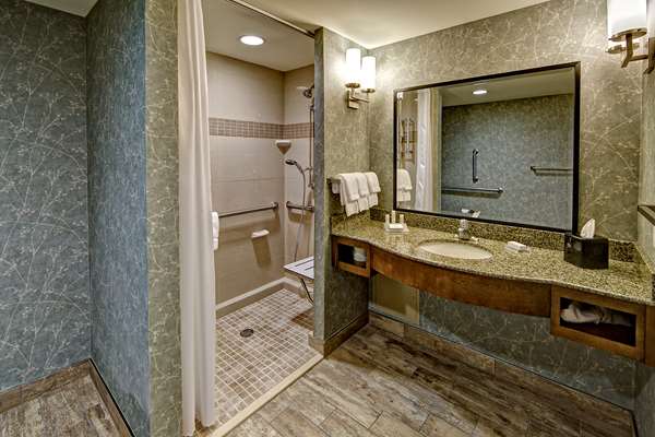  - Hilton Garden Inn Mt Pleasant