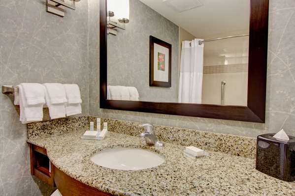  - Hilton Garden Inn Mt Pleasant
