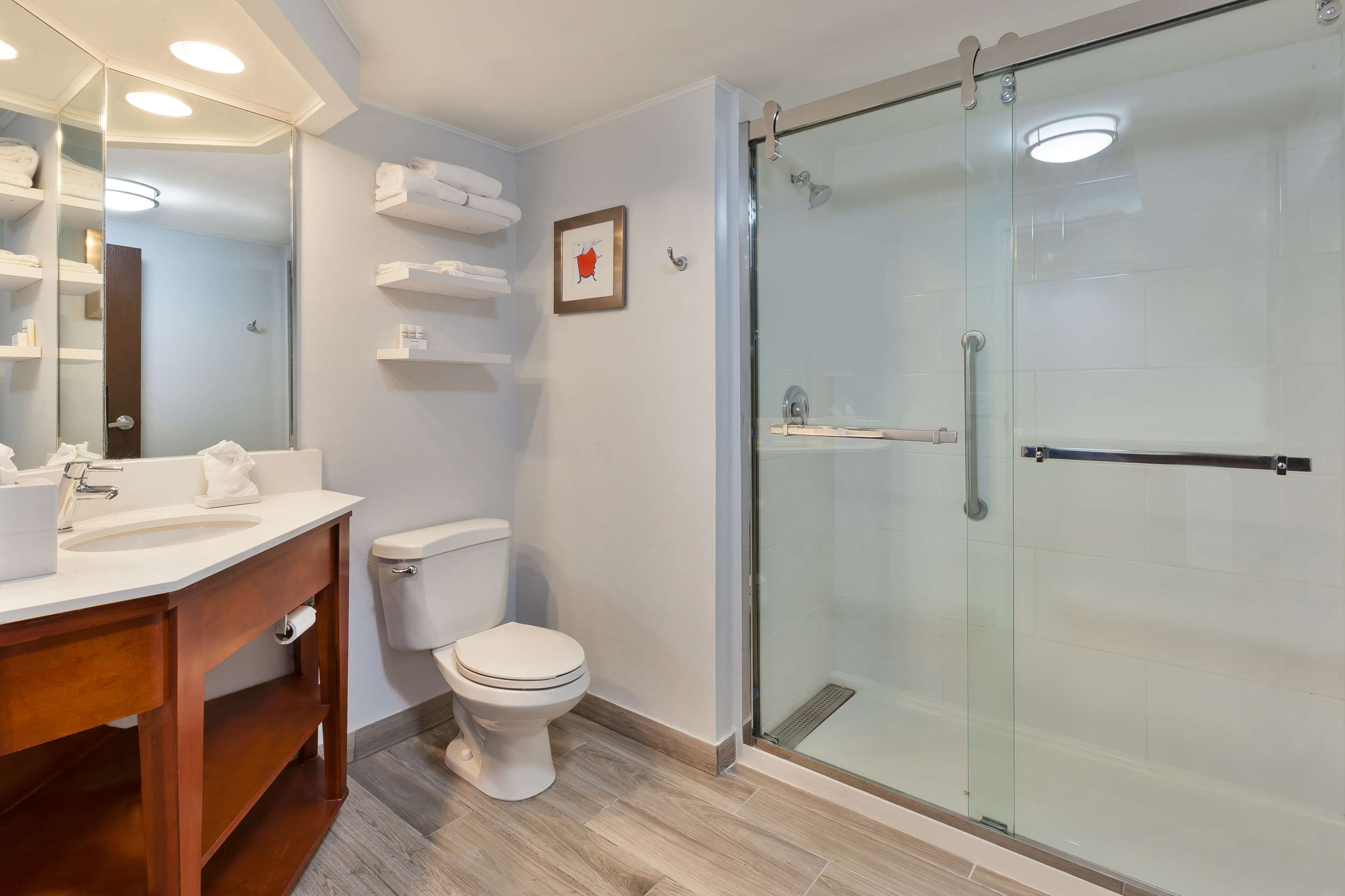 Guest room bath