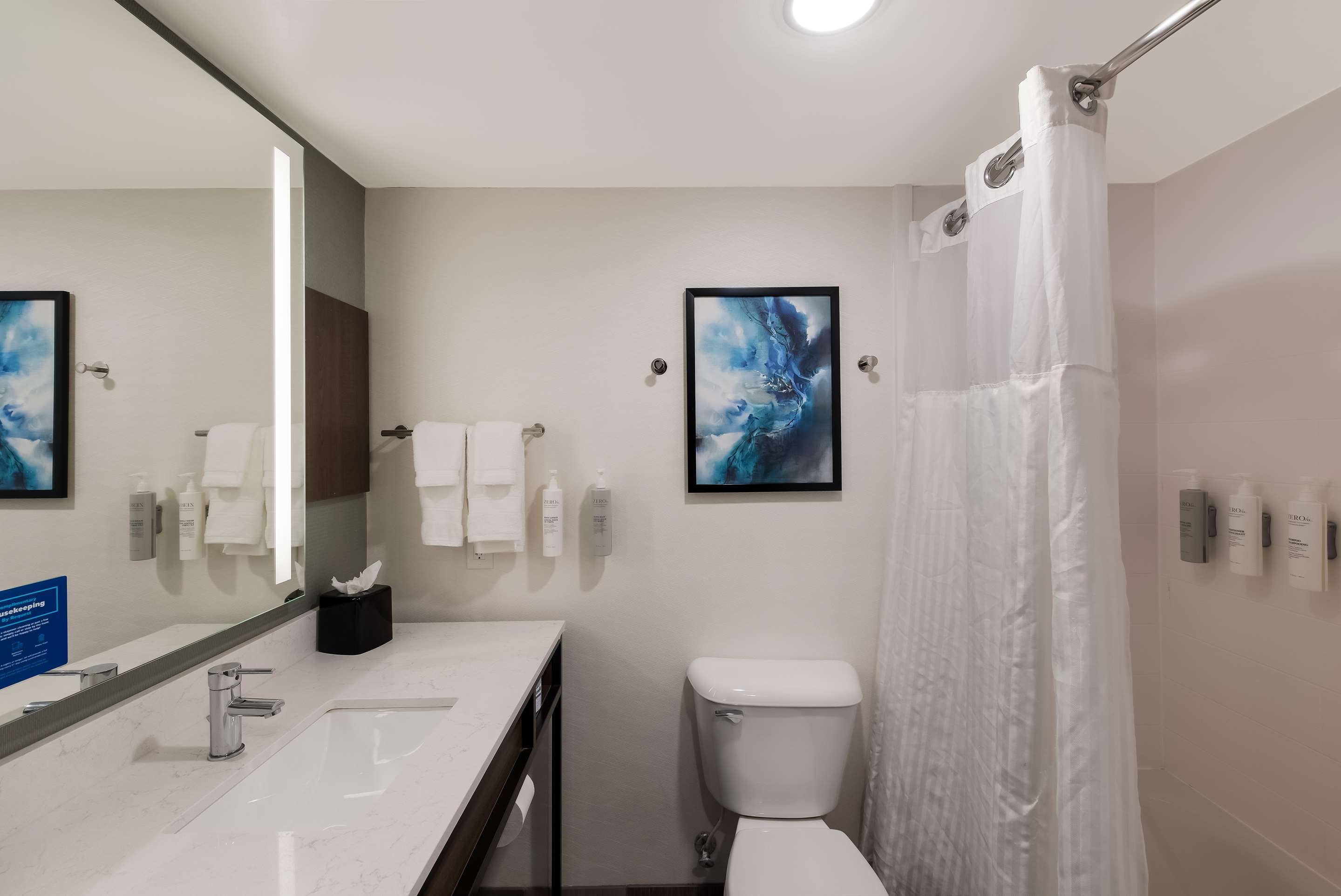 Guest room bath