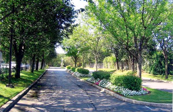 Exterior view - Hampton Inn Commack - I-495, Exits 52 & 53