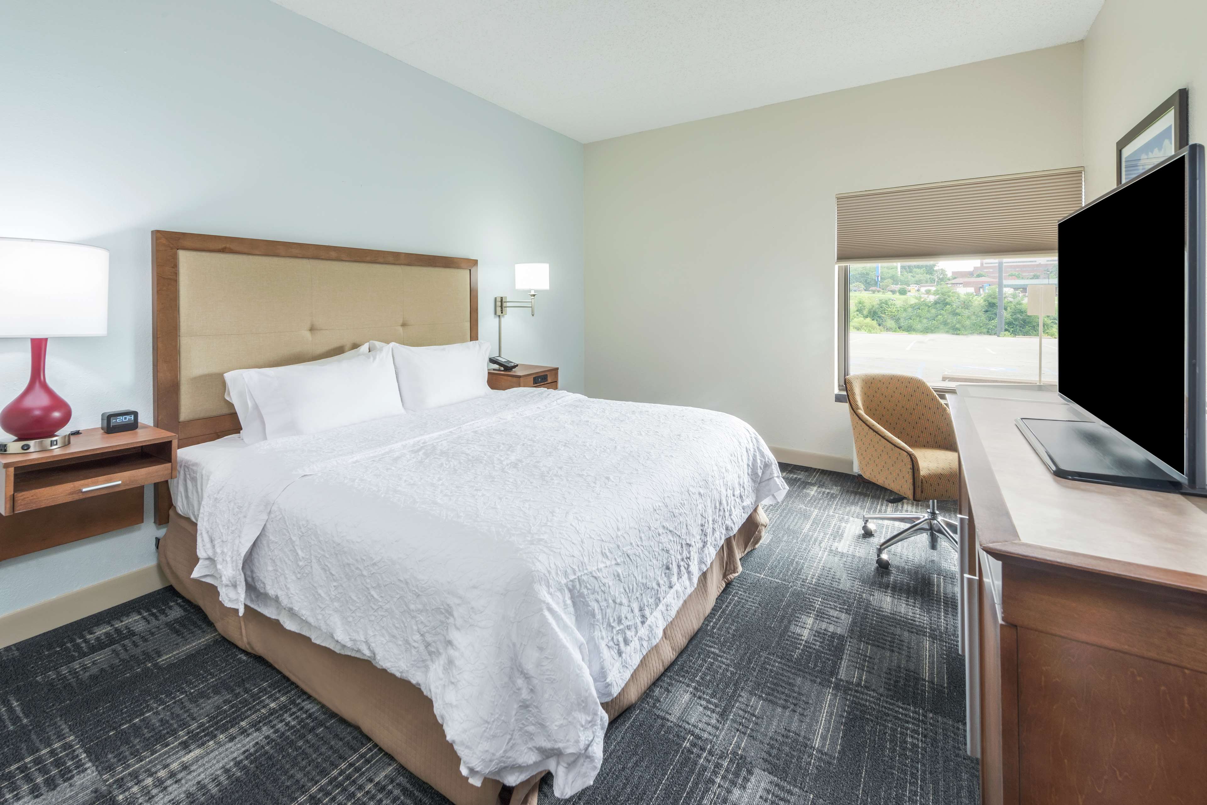 Hampton Inn Columbia Room Type - 1 KNG ACC ROLLIN SHWR NS