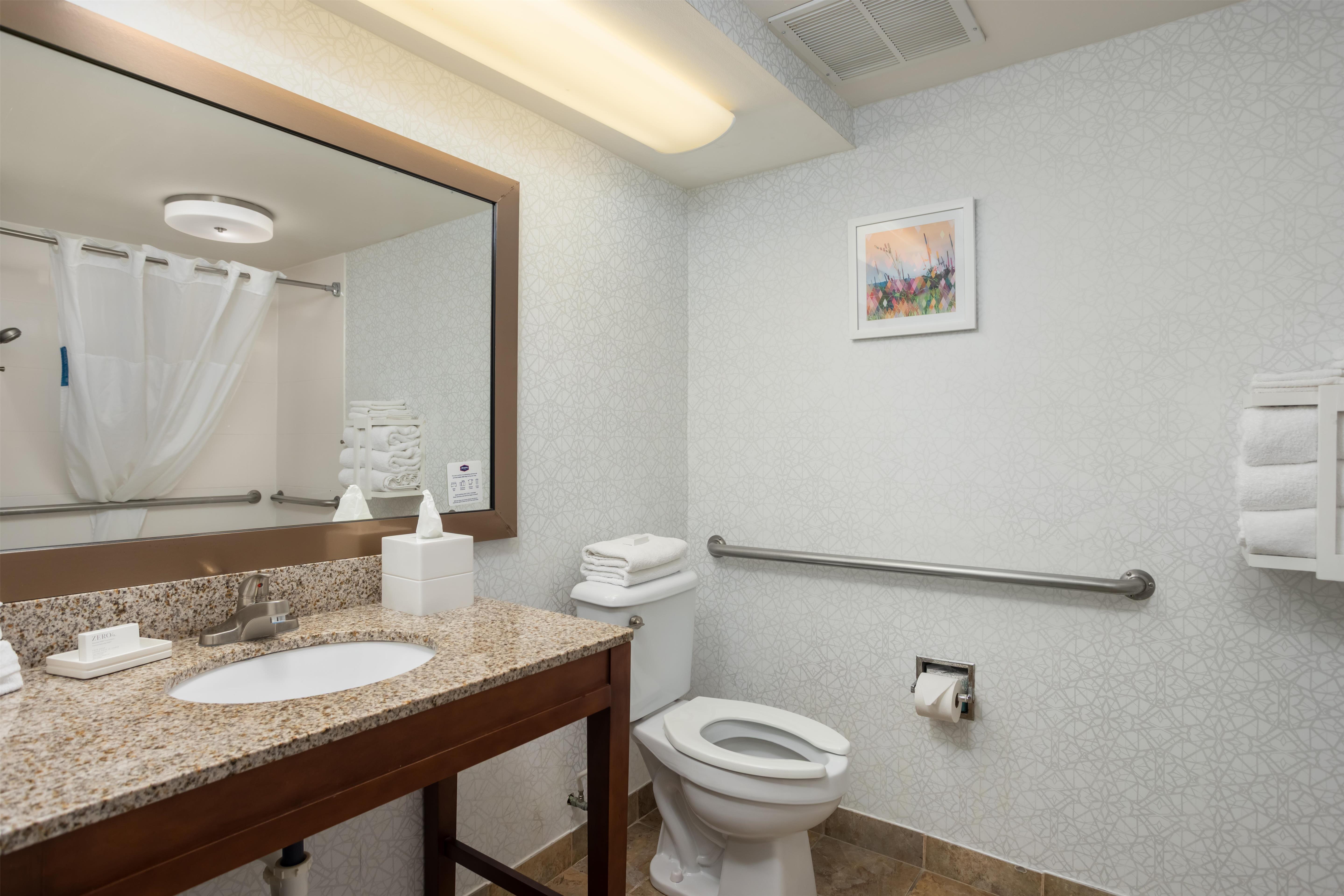 Hampton Inn Carrollton Room Type - 2 QUEEN BEDS NONSMOKING